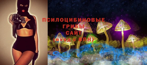 прущая мука Абаза